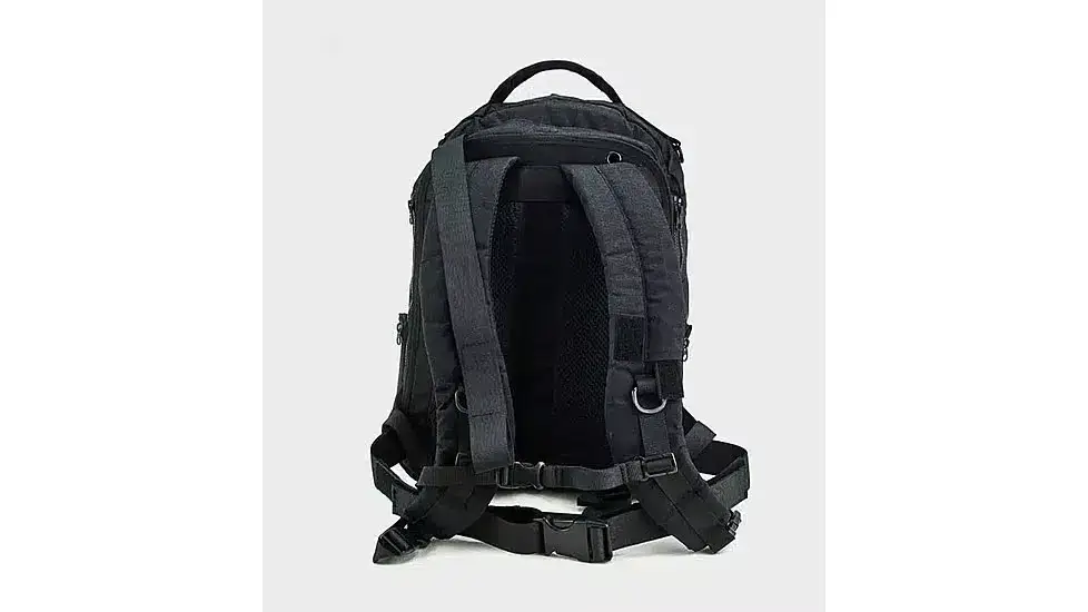 backpack with concealed plate carrier